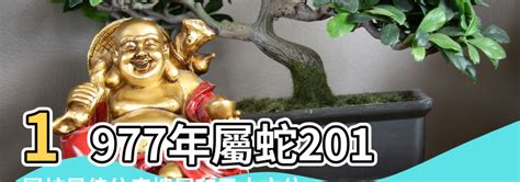 屬蛇樓層|【屬蛇樓層】屬蛇樓層風水指南：破解住錯層的厄運！